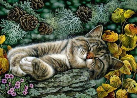 Sleeping cat painting. Irina Garmashova - Wild Corner