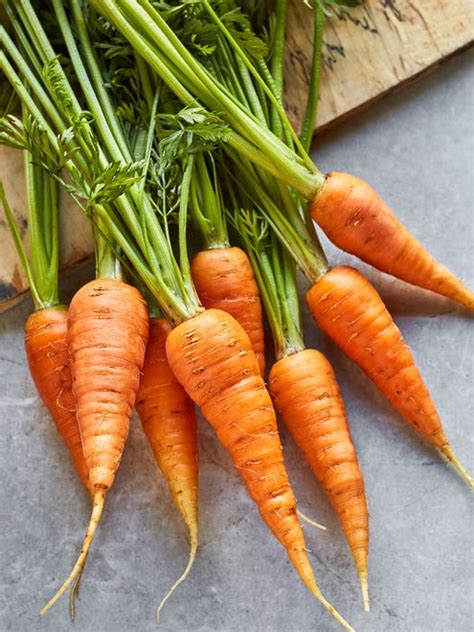 Carrot, Danvers 126 - Burpee