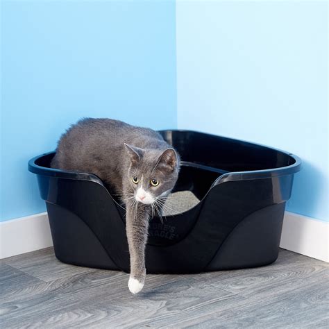 The 5 Best Litter Boxes For Multiple Cats | Our #1 Pick For 2023