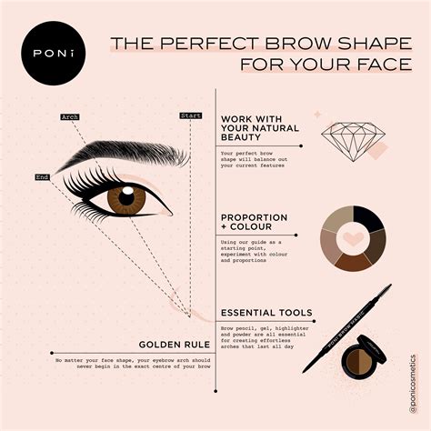 Best Eyebrows Shape