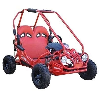 The 5 Best 2 Seater Go Karts of 2019 | Best Go-Kart Reviews