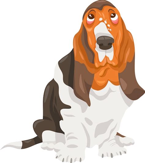 Premium Vector | Basset hound dog cartoon illustration