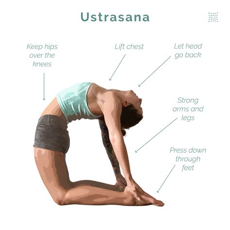 Weekly Pose Tutorial: Ustrasana (Camel Pose) - OmStars