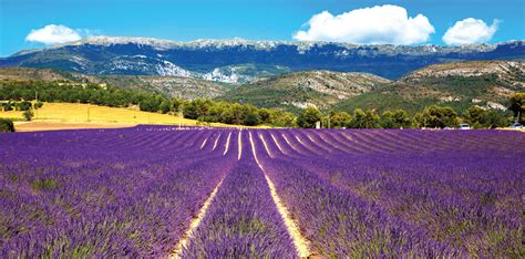 Hôtels Provence-Alpes-Côte d'Azur: Économisez jusqu'à -60% sur la demi ...