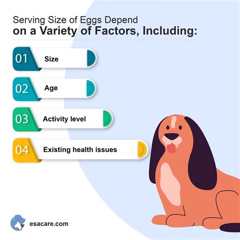 Are Raw Eggs Good for Dogs? Are They Safe? - ESA Care