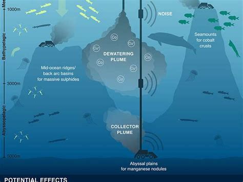 Scientists urge caution, further assessment of ecological impacts above ...