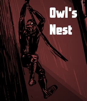 Owl's Nest - Walkthrough, Tips, Review