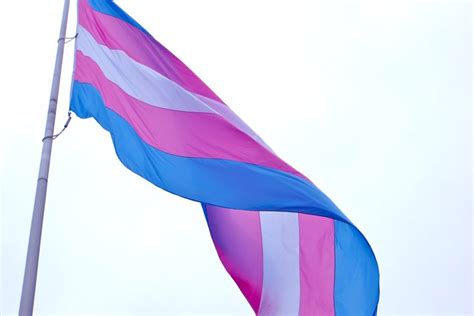 Transgender Pride flag now has an official home in Philly | PhillyVoice