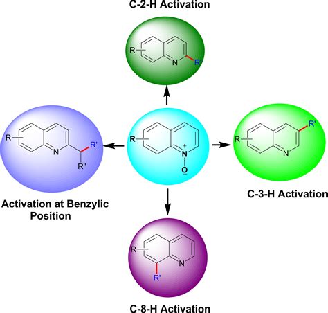 Quinoline N‐Oxide: A Versatile Precursor in Organic Transformations ...