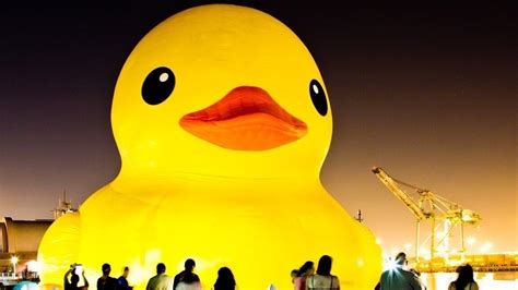 Petition · Bring back our Giant Rubber Duck!! - Los Angeles, United ...