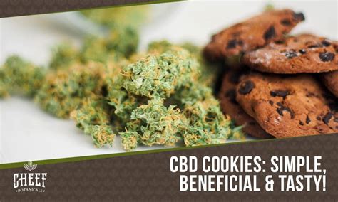 The Best CBD Cookies Recipe YOU Can Easily MAKE ANYTIME