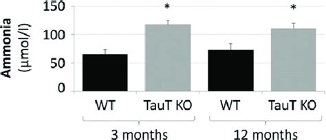 Blood ammonia levels in TauT KO and WT mice. Ammonia levels in blood ...