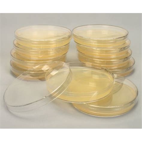 Pre-Poured Nutrient Agar Plates, Sterile, Sleeve of 20