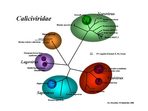 Family tree