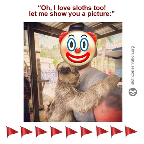 Best Sloth Memes - The Sloth Conservation Foundation