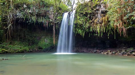 The Complete Guide to Maui Waterfalls