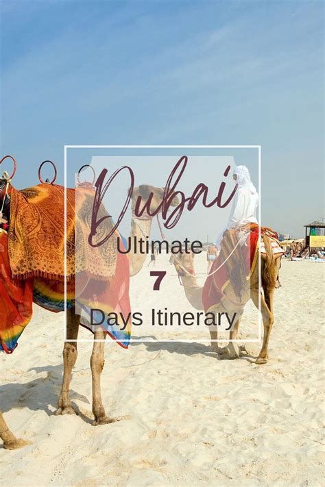 Dubai Ultimate 7 Days Itinerary | Dinner in the sky, Luxury travel ...