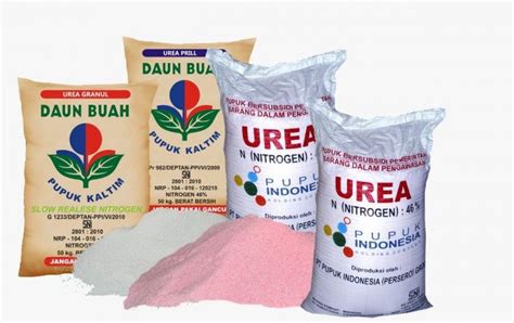 Tahun 2023, Subsidi Pupuk Hanya Urea dan NPK - AgroIndonesia