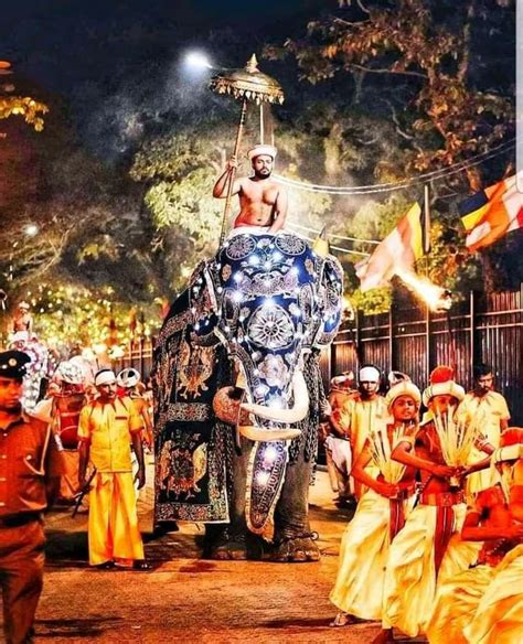 The Kandy Esala Perahera - Festival of the Tooth in Sri Lanka