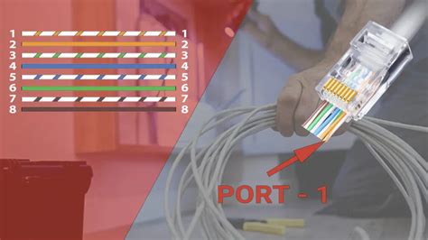 Cat 5 Cable Diagram: Wiring, Cable Order