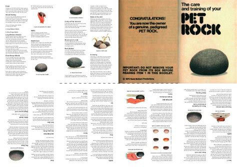 Make Your own Pet Rock part 1: The Manual