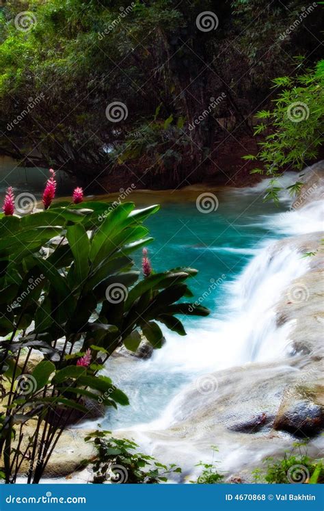 Jamaica waterfalls stock photo. Image of rainforest, paradise - 4670868