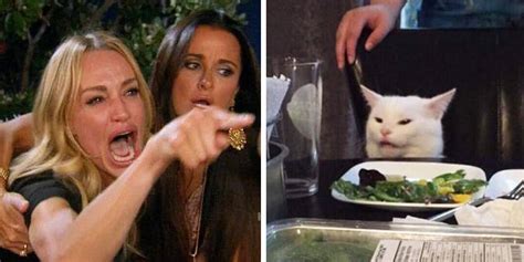 'Woman Yelling At A Cat' is Derived From Two Popular Memes