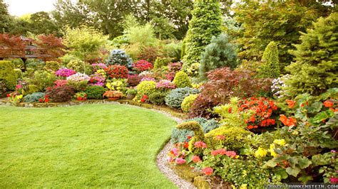 Decorative Plants And Shrubs For Landscaping | Shelly Lighting