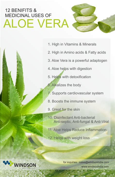 Health Benefits Of Aloe Vera