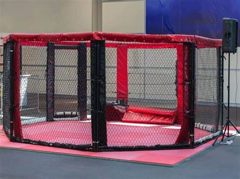 UFC Cage Size. How Big Is UFC’s Octagon? – Way of Martial Arts