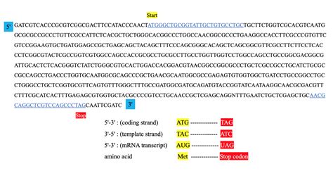 Design PCR primers and check them for specificity