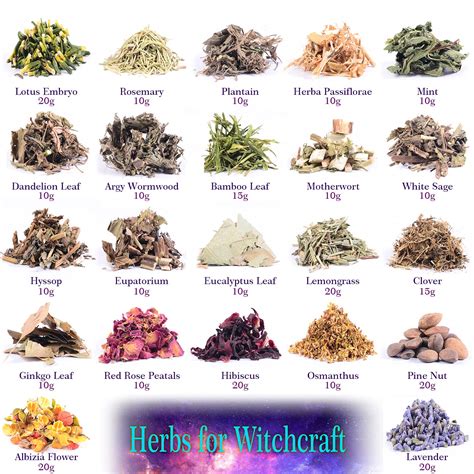 Buy Dried Herbs for Witchcraft Supplies - 22 Witch Herbs Kit for Wicca ...