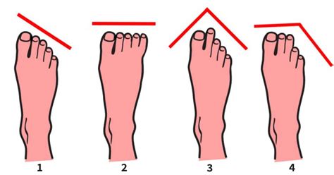 6 Types Of Toes And What They Reveal About Your Personality