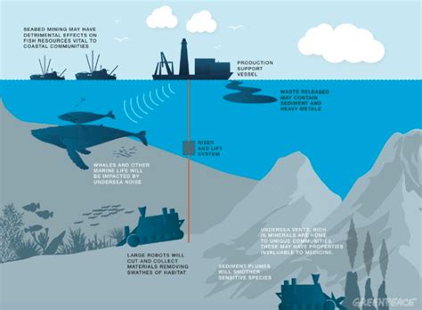 Life in the Abyss: the ecological impacts of deep-sea mining – oceanbites