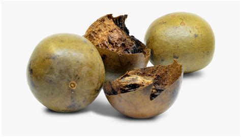 Buddha Fruit Lo Han Guo, HD Png Download - kindpng