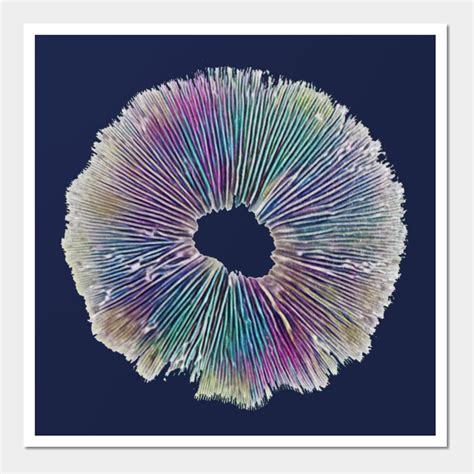 Mushroom Spore Print in Color | Art Print for Home Decor