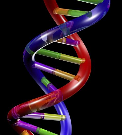 🔥 [50+] DNA Double Helix Wallpapers | WallpaperSafari