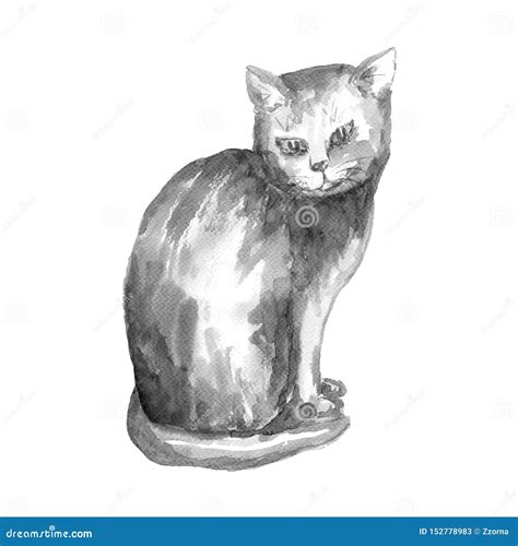 Watercolor sitting cat stock illustration. Illustration of poster ...