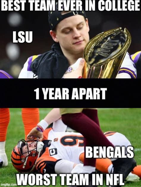 bengals Memes & GIFs - Imgflip