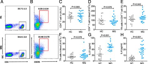 Circulating Tfh cells are significantly enriched in MG patients. (A and ...