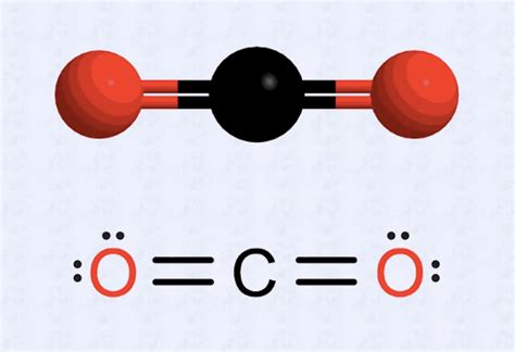 Ứng dụng trong thực tế của khí CO2 là gì? Novigas