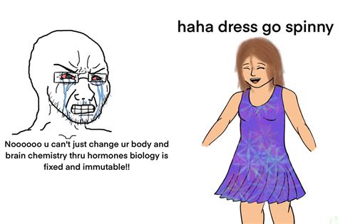 "I did a thing!" | Dress Go Spinny | Know Your Meme