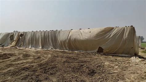 Low cost Silage Bunker,pit construction silage bunker construction ...