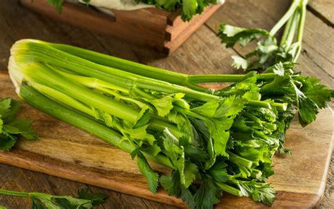 Health benefits and risks of celery | Sailan Muslim - The Online ...