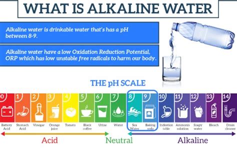 KENT-QNET Smart Alkaline-Mineral RO Water Purifier and the Health ...