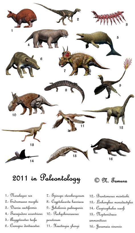 Paleoexhibit: 2011 in Paleontology