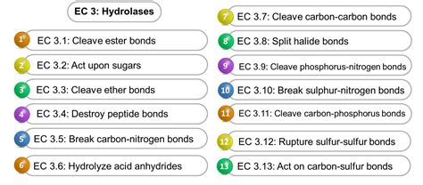 Hydrolase Introduction - Creative Enzymes