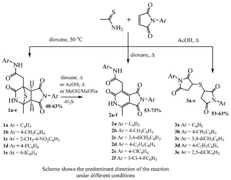 Scheme 4. Reaction products of thioacetamide and N-arylmaleimides ...