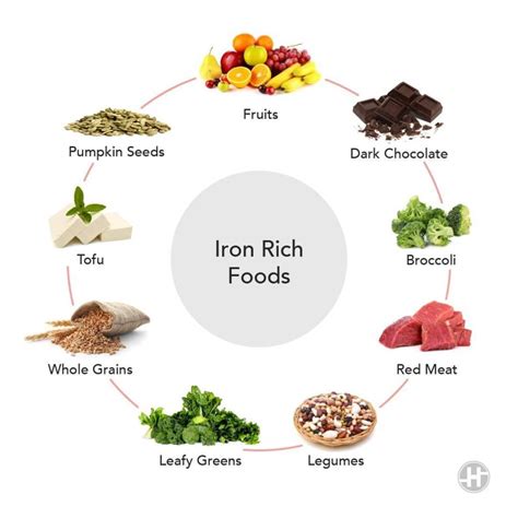 Iron Rich Foods – 8 Foods to Add to Your Iron Diet | My Quality Fit