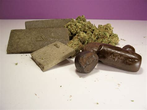 The different types of hash and how to choose - Sensi Seeds